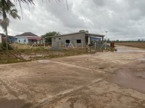 ដីលក់បន្ទាន់ ទិញចំនេញពិតៗ