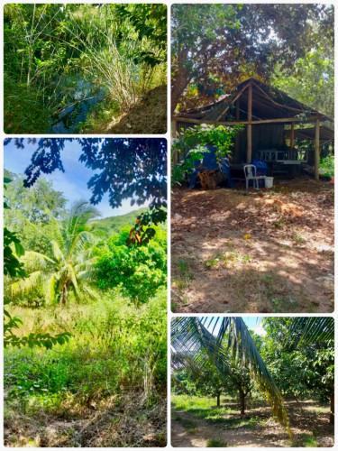 ដីលក់ តំបន្តអភិវឌ្ឃន៍ភ្នំវល្ល៍