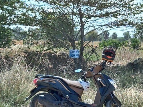 ដីលក់បន្ទាន់