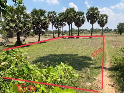 ដីលក់ ក្រោមទីផ្សារ11$/m2.  28km ពីចោមចៅ