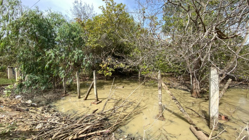 ដីលក់ ផ្លូវ 51