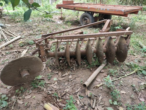ផាលឬនង្គ័ល ផាល៧សន្លឹក