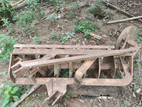 ផាលឬនង្គ័ល ផាល៧សន្លឹក