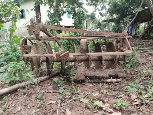ផាលឬនង្គ័ល ផាល៧សន្លឹក