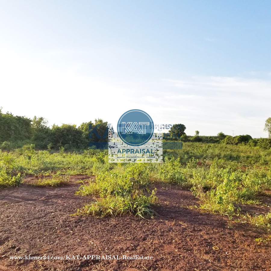 ដីកែងសម្រាប់លក់ Corner Land for sale in Tbaeng, Banteay Srei, Siem Reap, Cambodia on