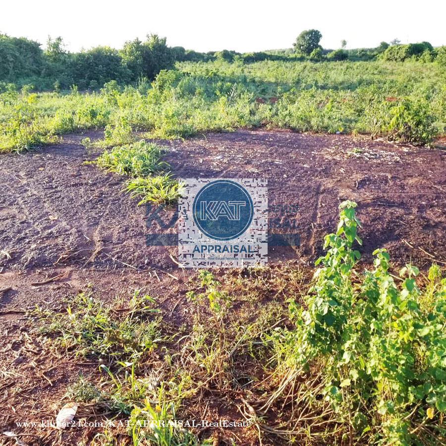 ដីកែងសម្រាប់លក់ Corner Land for sale in Tbaeng, Banteay Srei, Siem Reap, Cambodia on