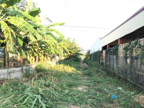 ដីលក់បន្ទាន់ប្លង់រឹង