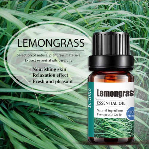 Pure Essential Oil 100% ប្រេងក្រអូប មានក្លិនច្រើនអាចជ្រើសរើសបាន!! ចំនុះ10មីលីលីត្រ