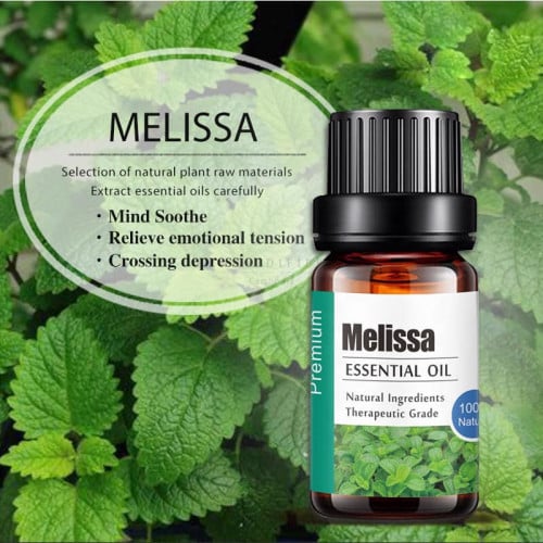 Pure Essential Oil 100% ប្រេងក្រអូប មានក្លិនច្រើនអាចជ្រើសរើសបាន!! ចំនុះ10មីលីលីត្រ