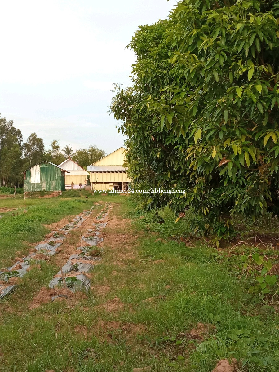 Riverside Land for Sale 85000 Price 85000.00 in Chheu Khmau, Krong