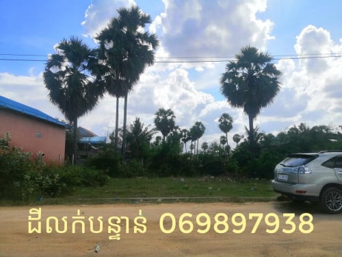 ដីលក់បន្ទាន់ អង្គស្នល
