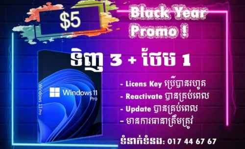 Windows 10 or 11 Pro (Lifetime Key) 100%
