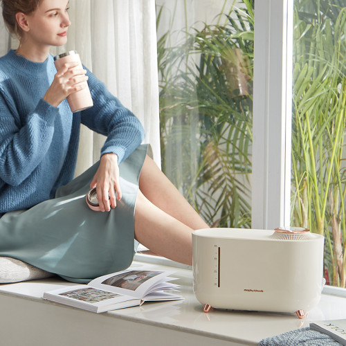 Morphy Richards MR2081 Fog-free humidifier bedroom pregnant women and babies