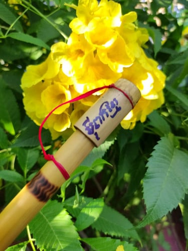 ឧបករណ៍ ប៉ីពកខ្មែរ