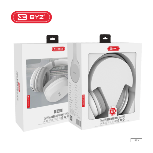 Earphone B53(5.0) Price $21 In Phnom Penh, Cambodia - Sana Amm ...