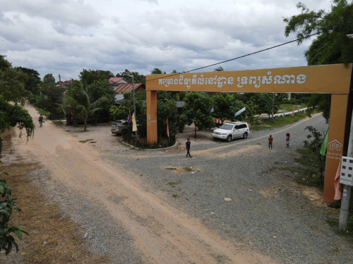 ដីឡូត៍