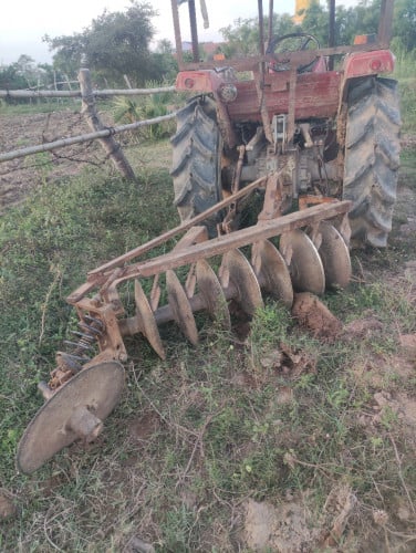 ផាលឬនង្គ័ល ផាល៧សន្លឹក