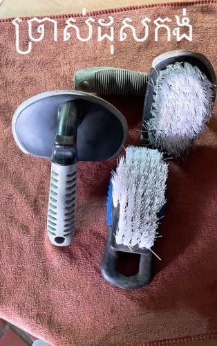 ឧបករណ៍ថែទាំរថយន្ត