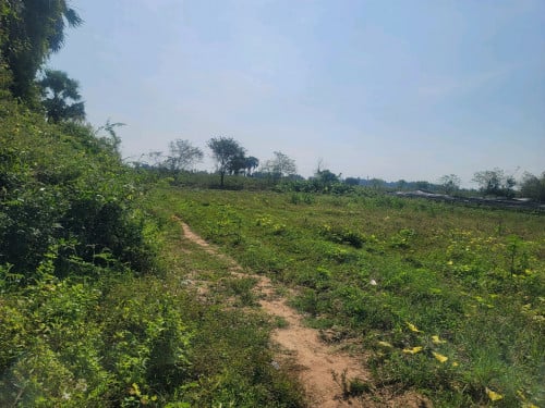 ដីលក់បន្ទាន់