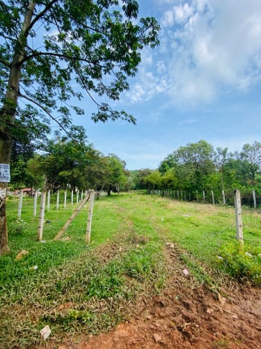 ដីសម្រាប់លក់