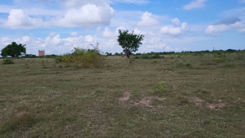 ដីលក់បន្ទាន់ទំហំ3ហិកតាលក់តែ55000$នៅខេត្តពោត៌សាត់ស្រុកក្រគរ(ភូមិចាមថ្មី)