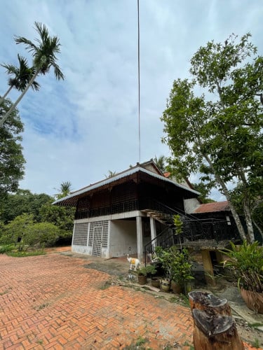ដីផ្ទះលក់បន្ទាន់ ប្រភេទដីចម្ការ តុបតែងបែបលំហែរកម្សាន្ត សម្រាកស្រស់ស្រាយពីក្បាលដីដល់ចុងដី