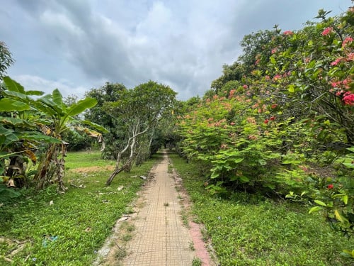 ដីផ្ទះលក់បន្ទាន់ ប្រភេទដីចម្ការ តុបតែងបែបលំហែរកម្សាន្ត សម្រាកស្រស់ស្រាយពីក្បាលដីដល់ចុងដី