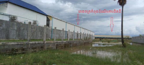 ដីលក់ប្រញាប់ខ្លាំង