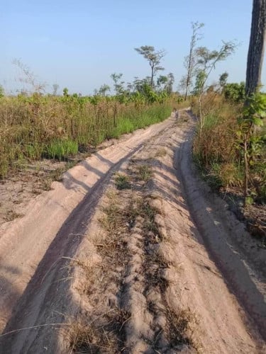 ដីលក់​​១៨ហិកតា​18០០០$​ ក្បាល​ដី​ជាប់ផ្លូវ