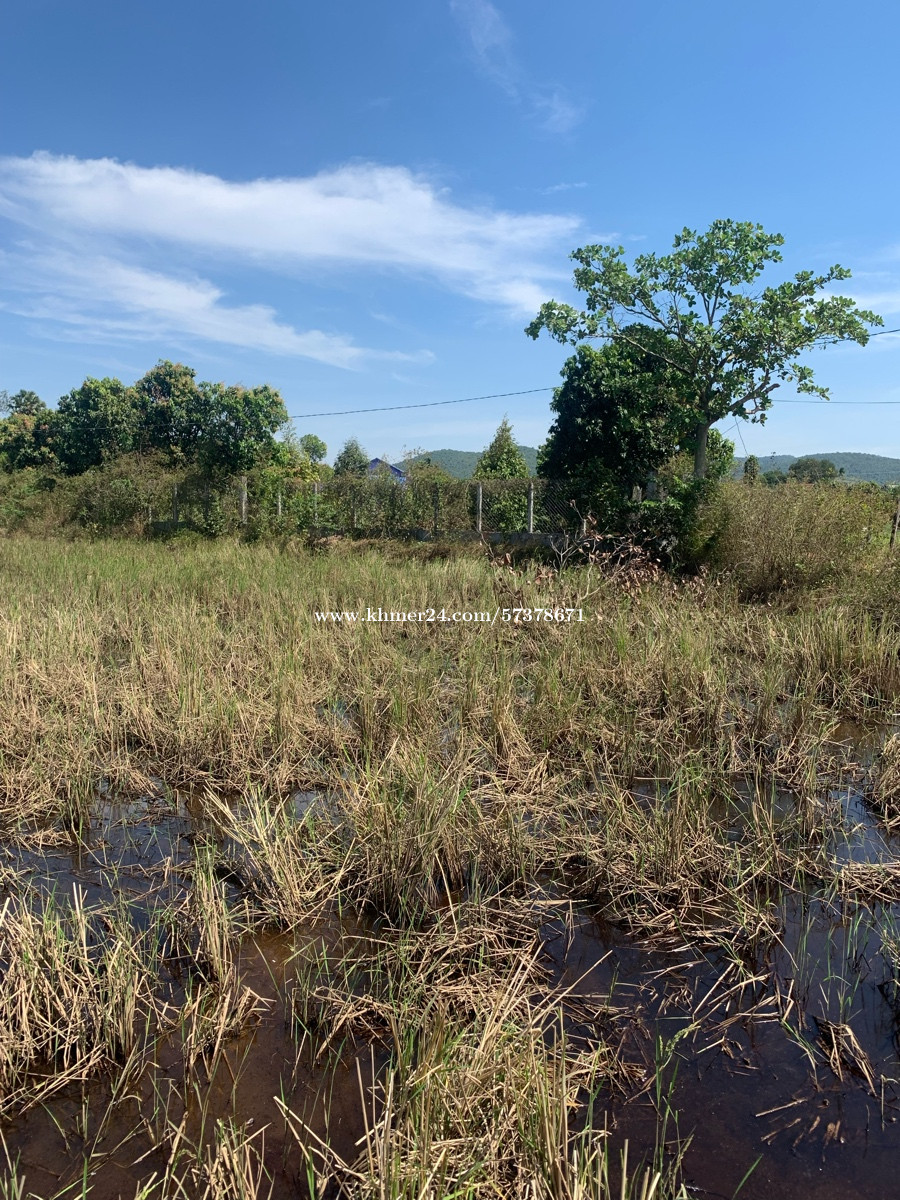 Land for sale Price 15000.00 in Stueng Kaev, Tuek Chhou, Kampot