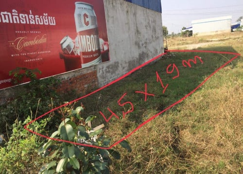 ដីលក់ នៅអង្គស្នួល