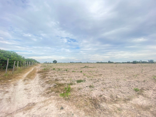 ដីសម្រាប់លក់ នៅជិតព្រលានយន្តហោះខេត សៀមរាបថ្មី