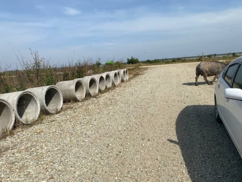 ដីលក់បន្ទាន់