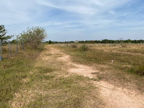 ដីលក់បន្ទាន់