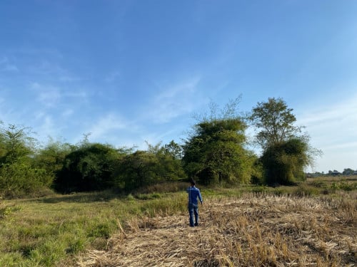 ដីលក់ខាត់