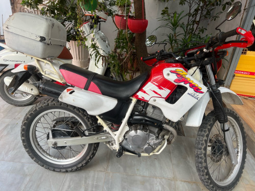Honda degree 250