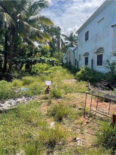 ដីលក់បន្ទាន់