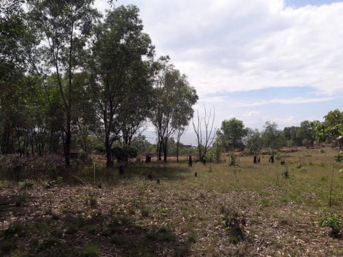 ដីលក់មានផ្លូវមុខ ក្រោយ