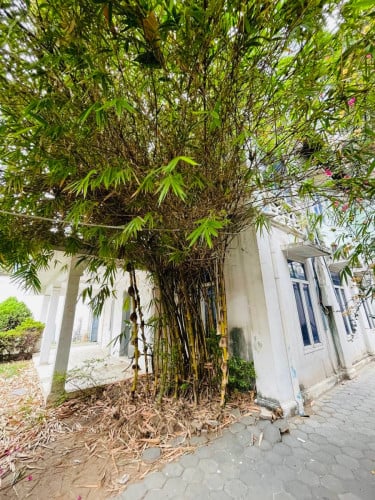 Corner Villa For Rent Near Independent Monument,