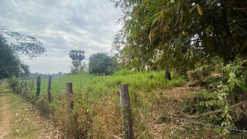 ដីលក់បន្ទាន់ មួយហិចតា ប្លង់រឹង 48,000$ ចចារ