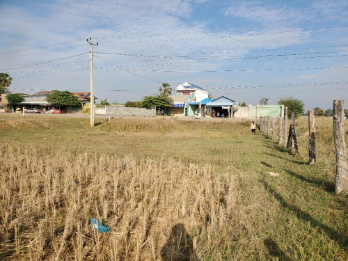ដីជាប់ផ្លូវជាតិលេខ140(គំរោងផ្លូវកៅស៊ូ30ម)លក់បន្ទាន់
