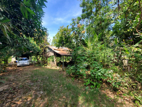 ដីលក់ជិតផ្សាស័ង្កសី