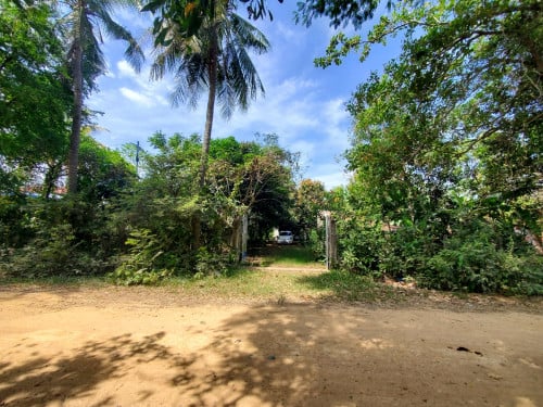 ដីលក់ជិតផ្សាស័ង្កសី