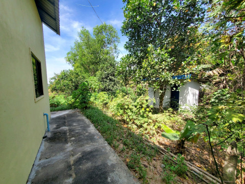 ដីលក់ជិតផ្សាស័ង្កសី