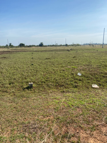 ដីលក់បន្ទាន់