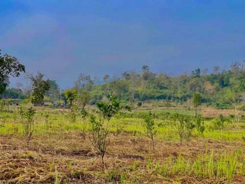 ដីលំហែរ