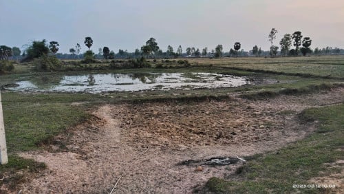 ដីស្រែលក់ ៤៤X៣៥