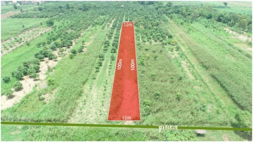 ដីលក់បន្ទាន់ នៅក្នុងក្រុងអរិយក្សត្រ