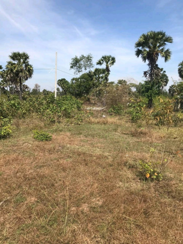 ដីលក់ប្រញាប់