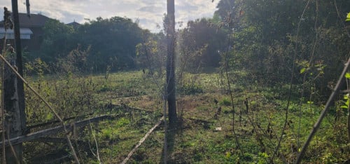 ដីលក់2គ.មពីផ្សារកំពង់ប្រណាកទីរួមខេត្តព្រះវិហារ